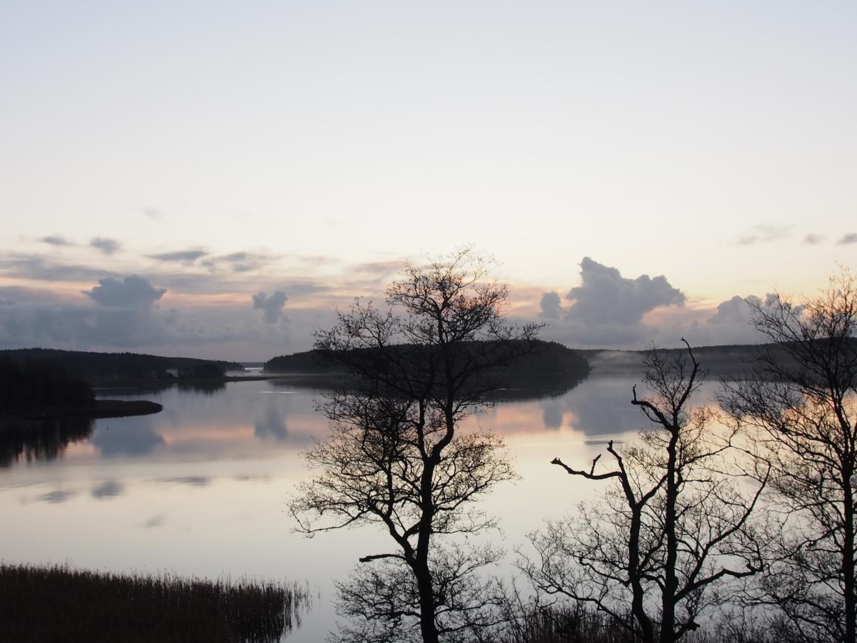 Huoneisto - Merinäköala